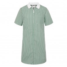 Summer Stripe Ginghem Dress Summer Stripe Ginghem Dress
